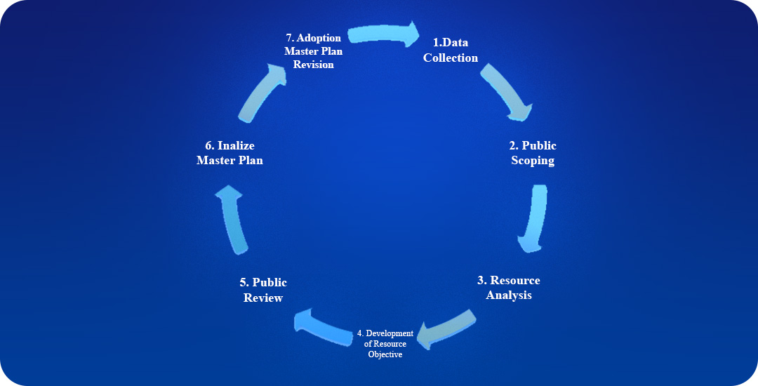 Web Development Process