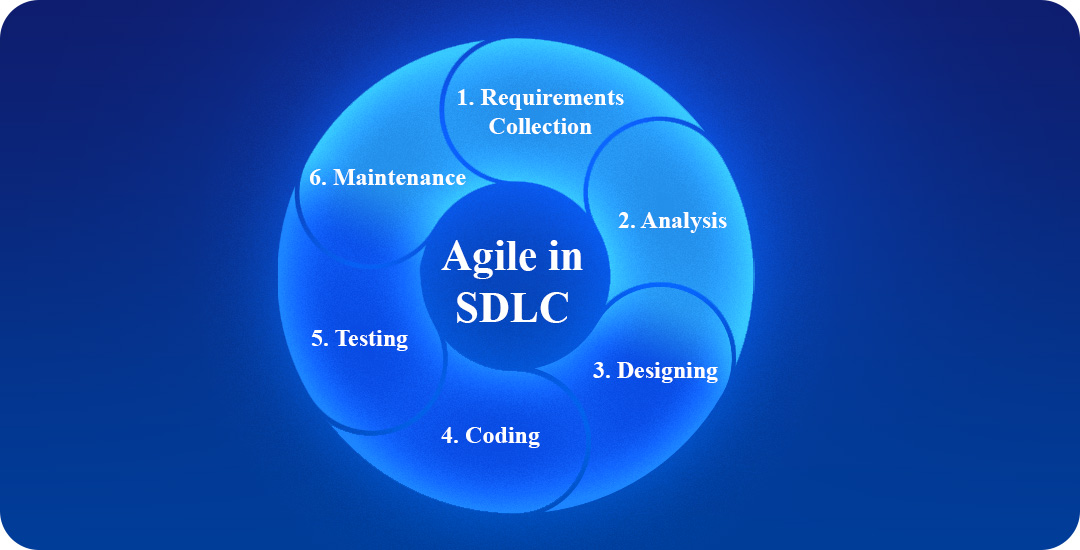 Software Development Process